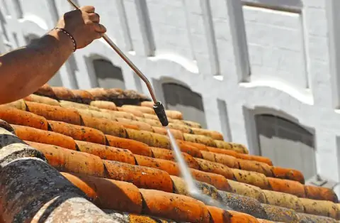 Démoussage de toiture en Haute-Garonne